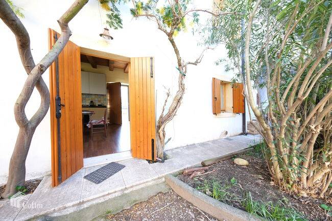 immagine annuncio 11 di 14