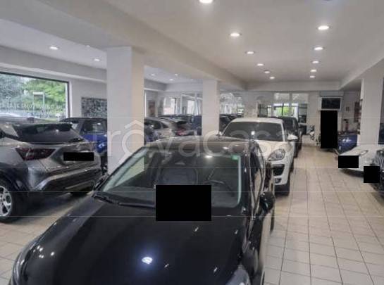 immagine annuncio 5 di 12