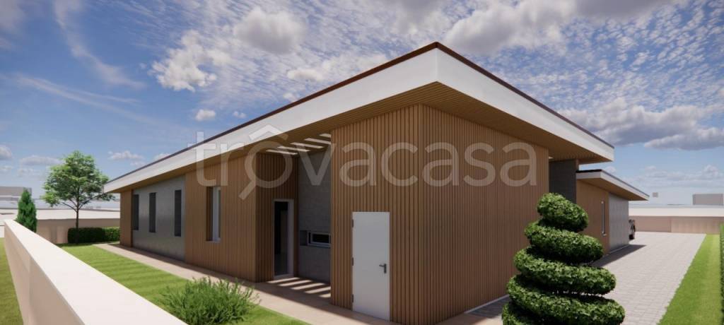 immagine annuncio 6 di 12