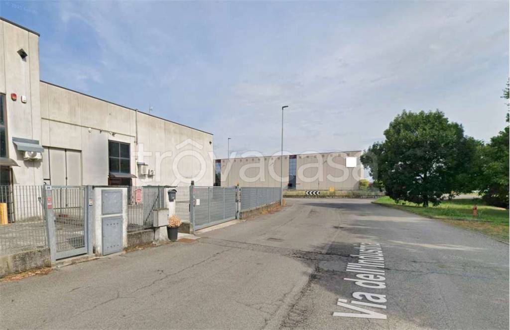 immagine annuncio 4 di 15