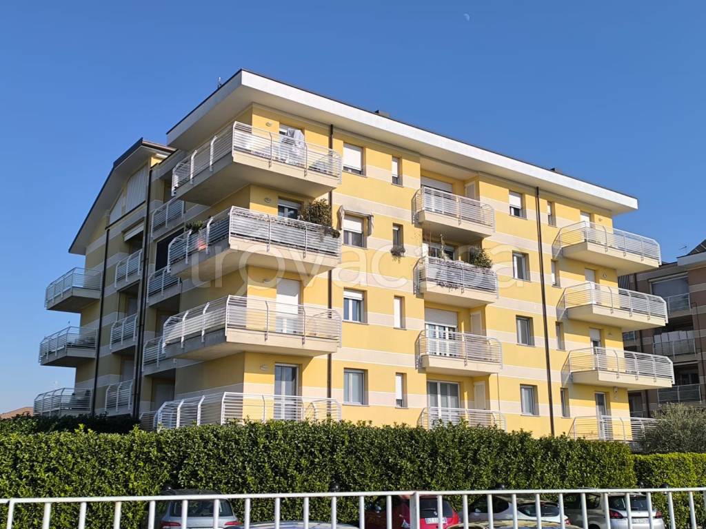 immagine annuncio 1 di 14