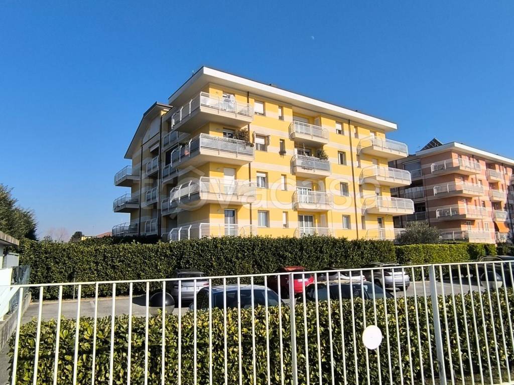 immagine annuncio 12 di 14