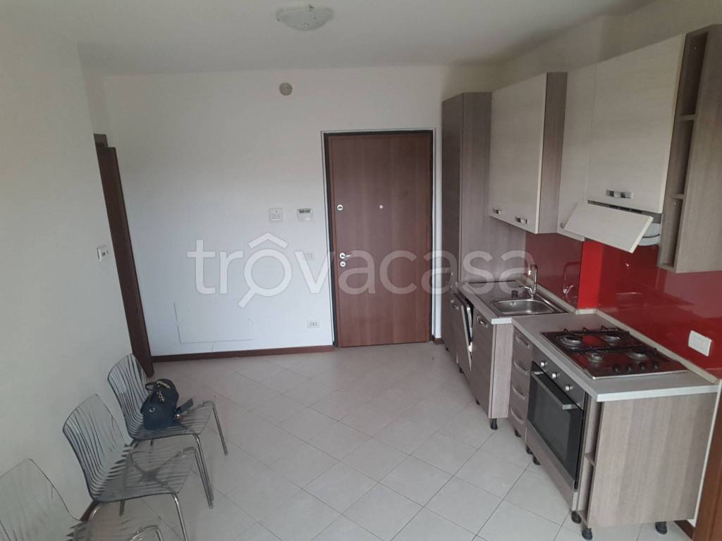 immagine annuncio 5 di 14