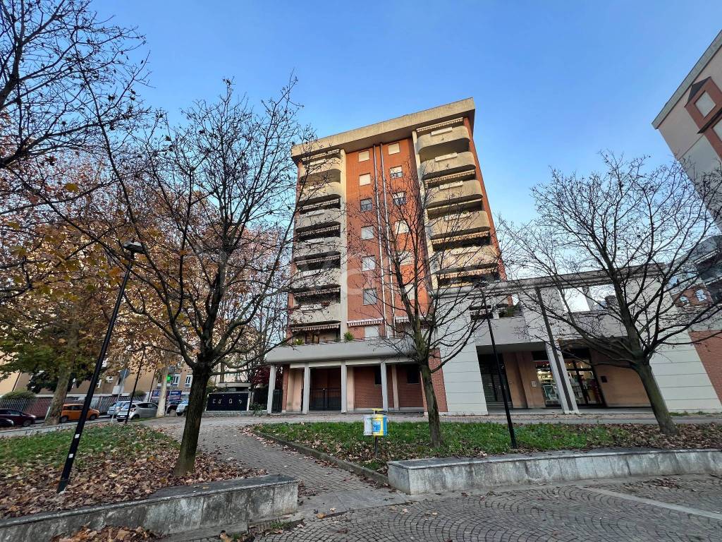 immagine annuncio 1 di 15