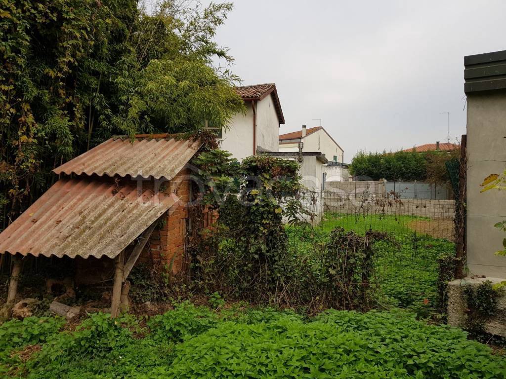 immagine annuncio 4 di 11