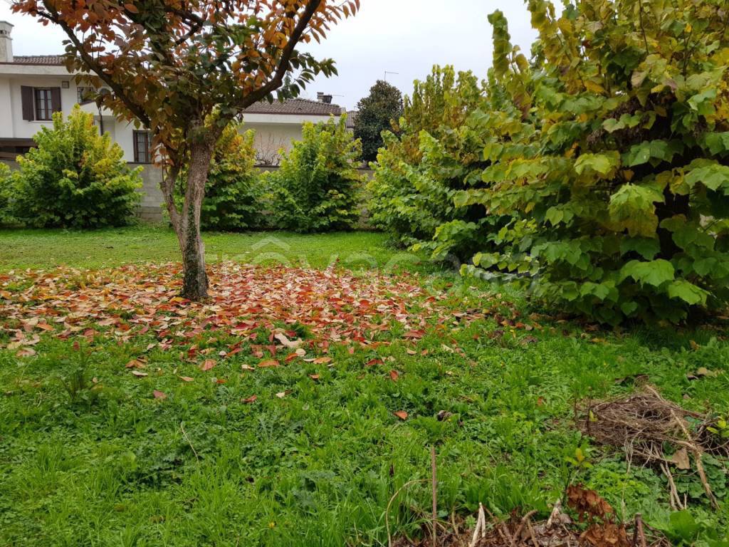 immagine annuncio 6 di 11