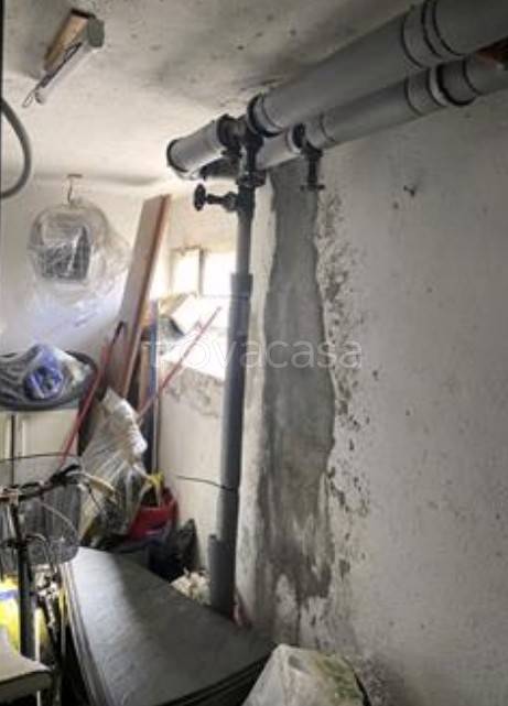 immagine annuncio 9 di 14