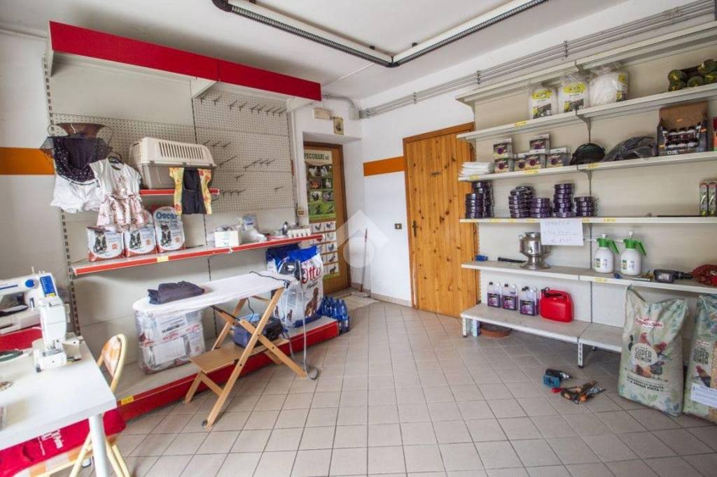 immagine annuncio 5 di 12