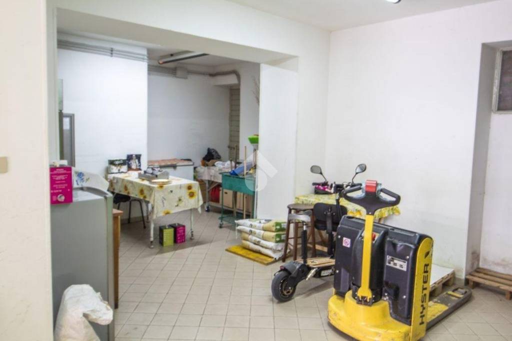 immagine annuncio 6 di 12