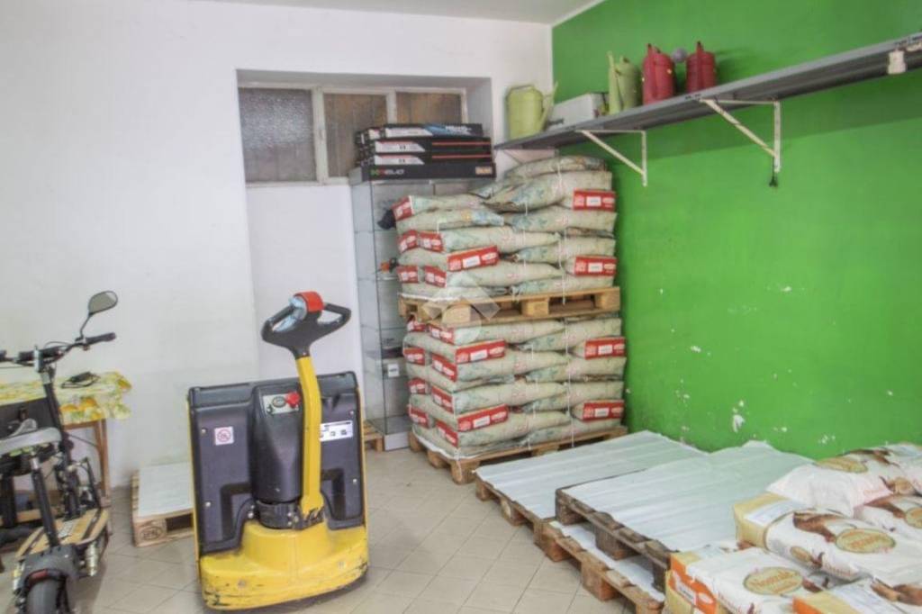 immagine annuncio 7 di 12