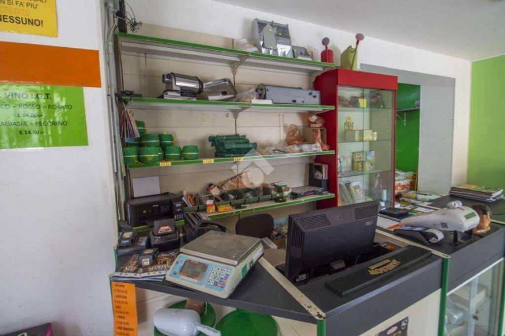 immagine annuncio 8 di 12