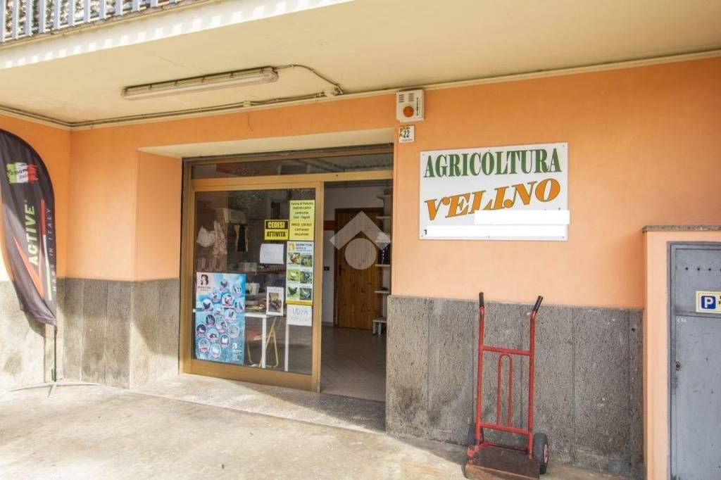 immagine annuncio 10 di 12