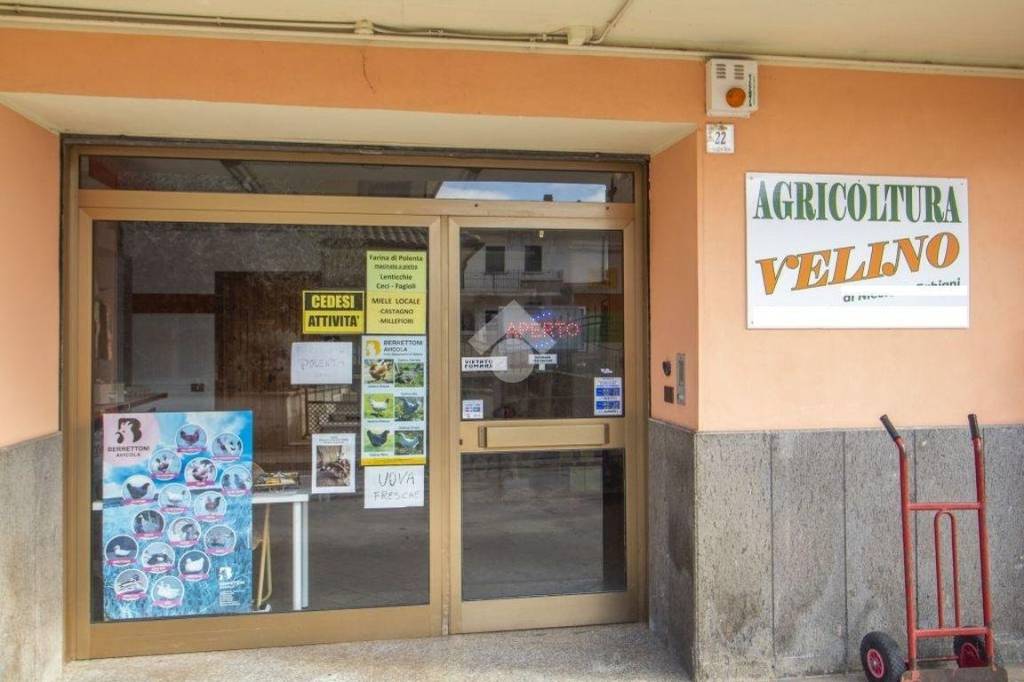 immagine annuncio 11 di 12