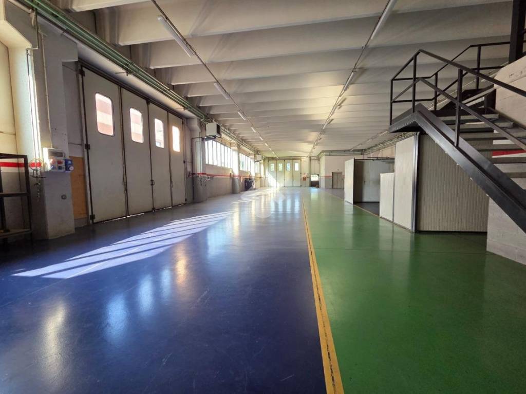 immagine annuncio 6 di 15