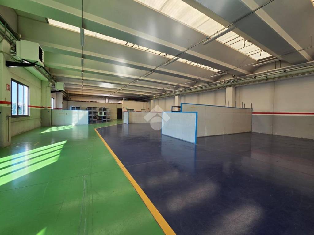 immagine annuncio 12 di 15