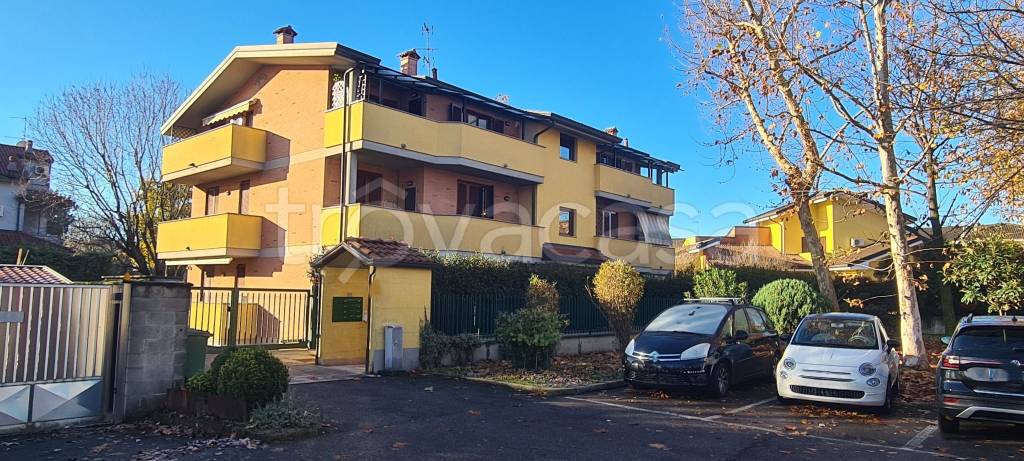 immagine annuncio 1 di 15