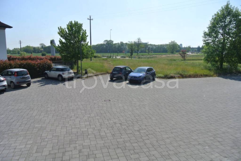 immagine annuncio 3 di 11