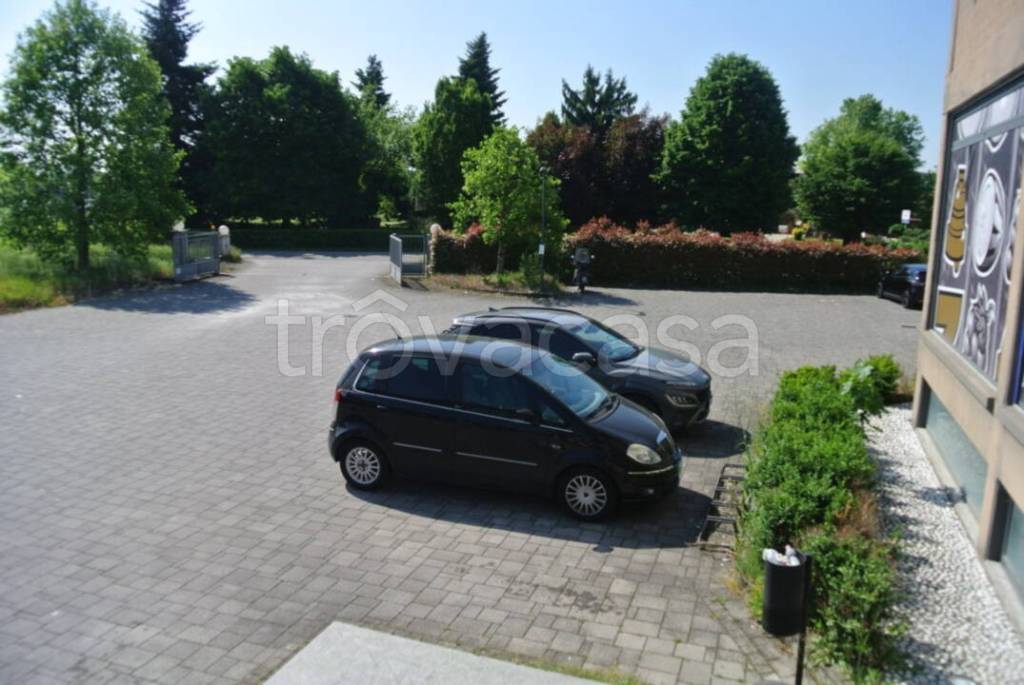 immagine annuncio 4 di 11