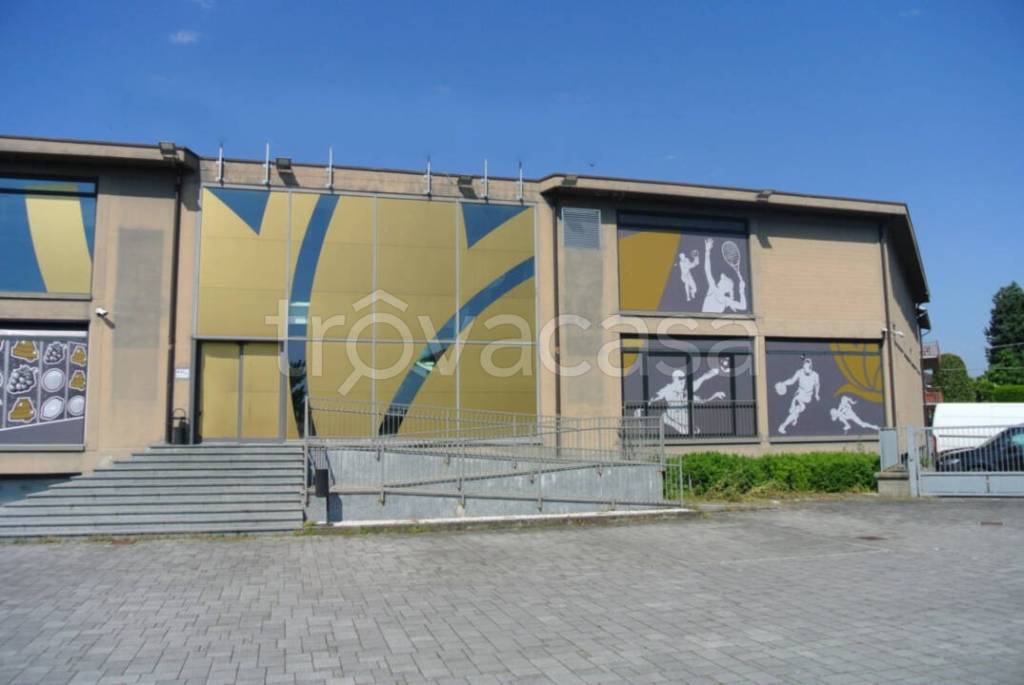 immagine annuncio 5 di 11