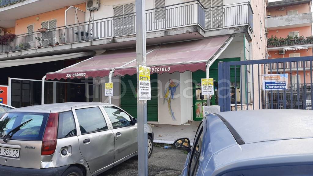 immagine annuncio 2 di 8