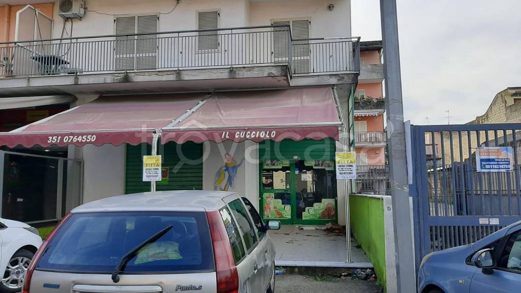 immagine annuncio 3 di 8