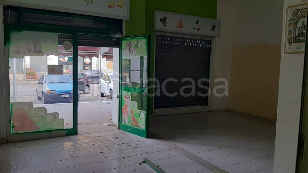 immagine annuncio 4 di 8