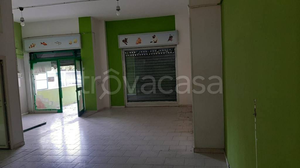 immagine annuncio 1 di 8