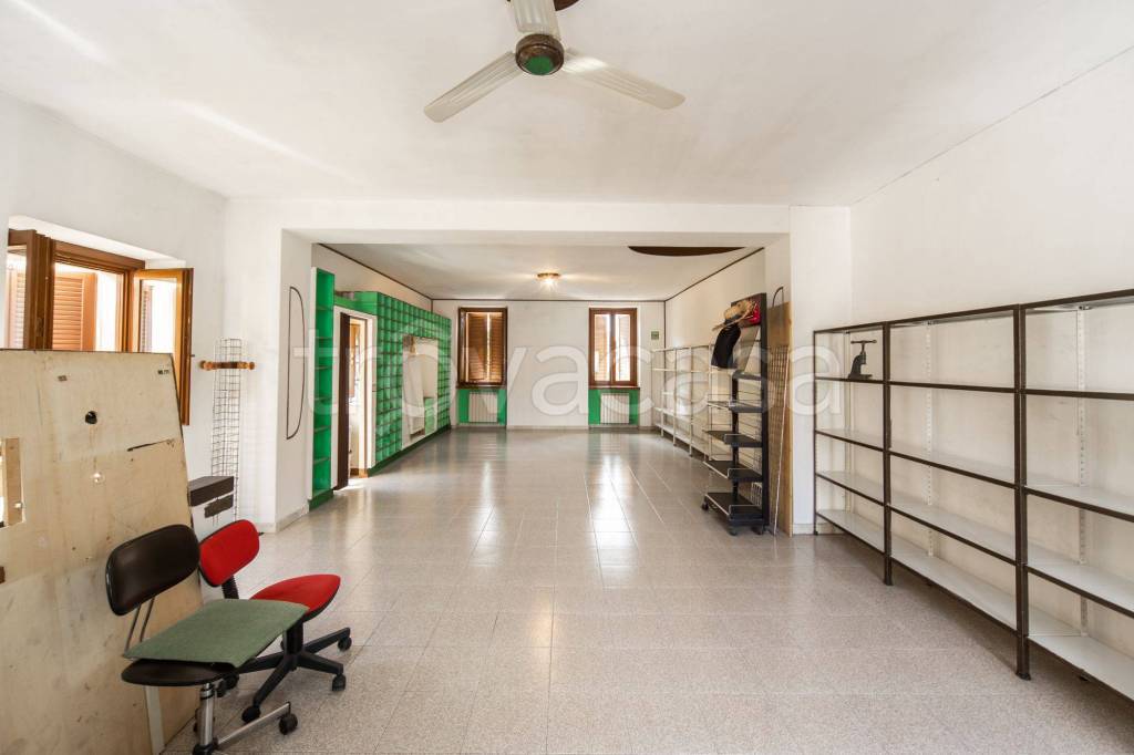 immagine annuncio 5 di 12