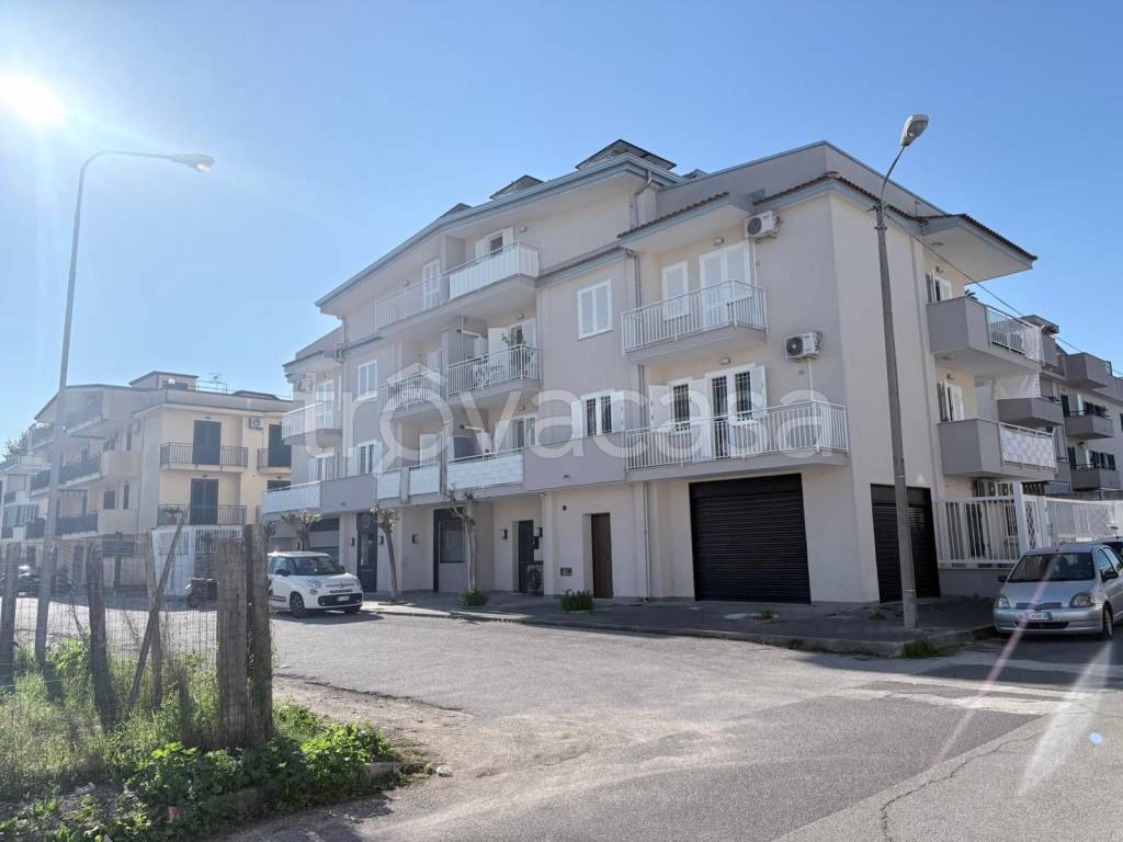 immagine annuncio 10 di 12