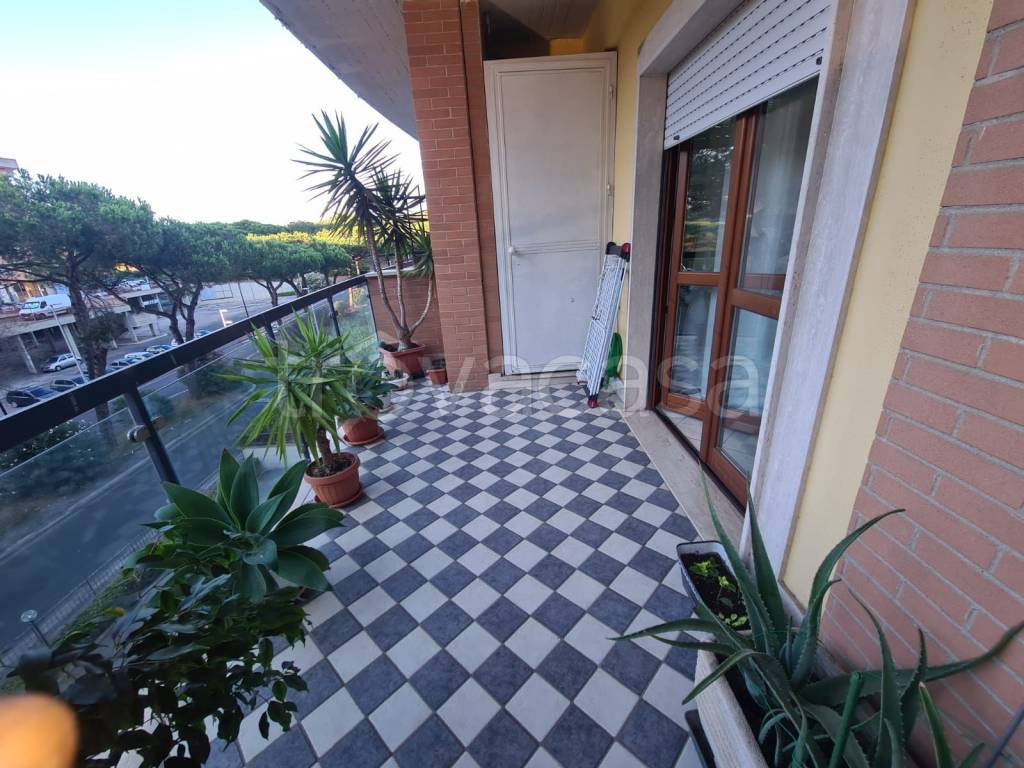 immagine annuncio 3 di 13