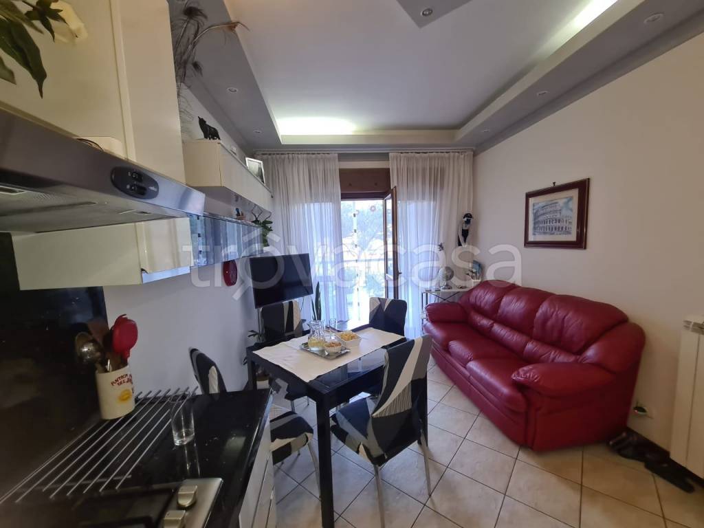 immagine annuncio 5 di 13