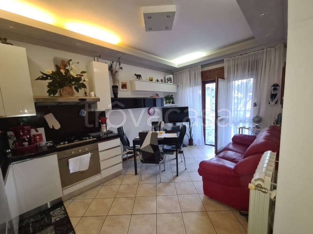 immagine annuncio 6 di 13