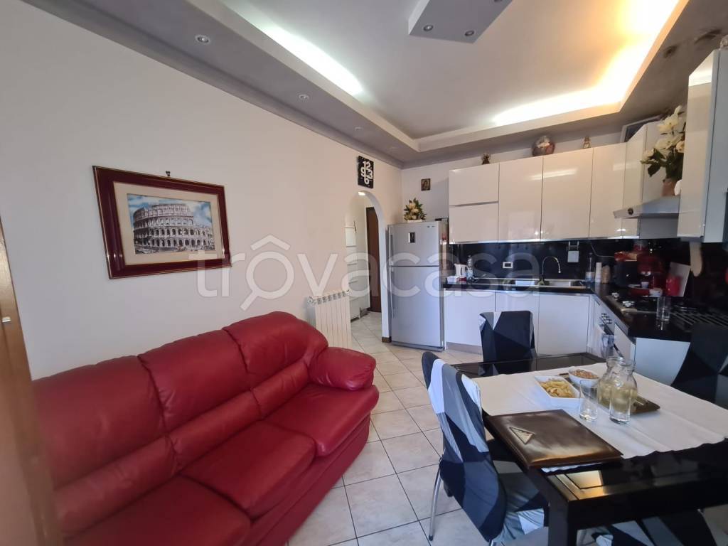 immagine annuncio 7 di 13