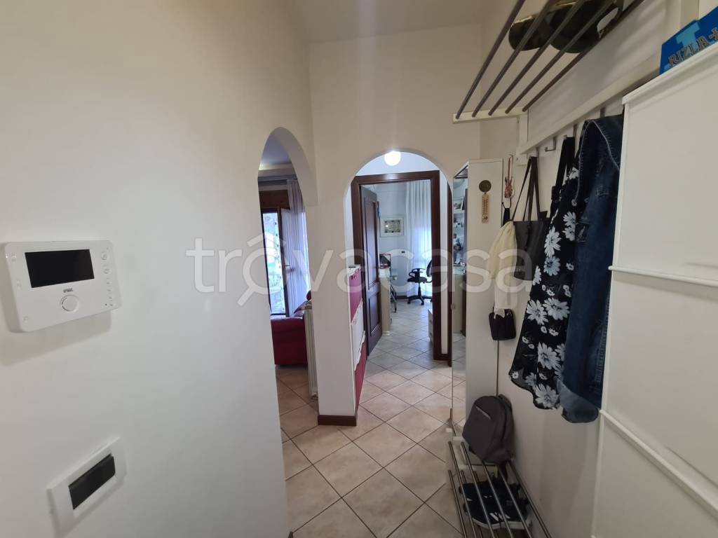 immagine annuncio 9 di 13