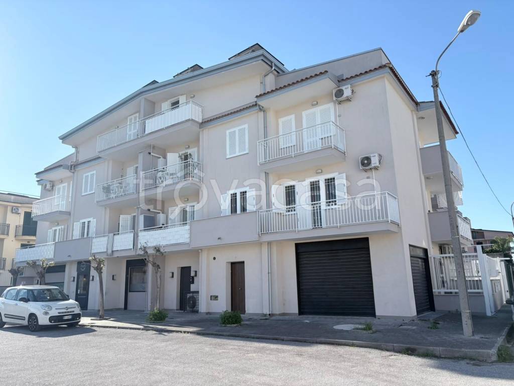 immagine annuncio 1 di 12