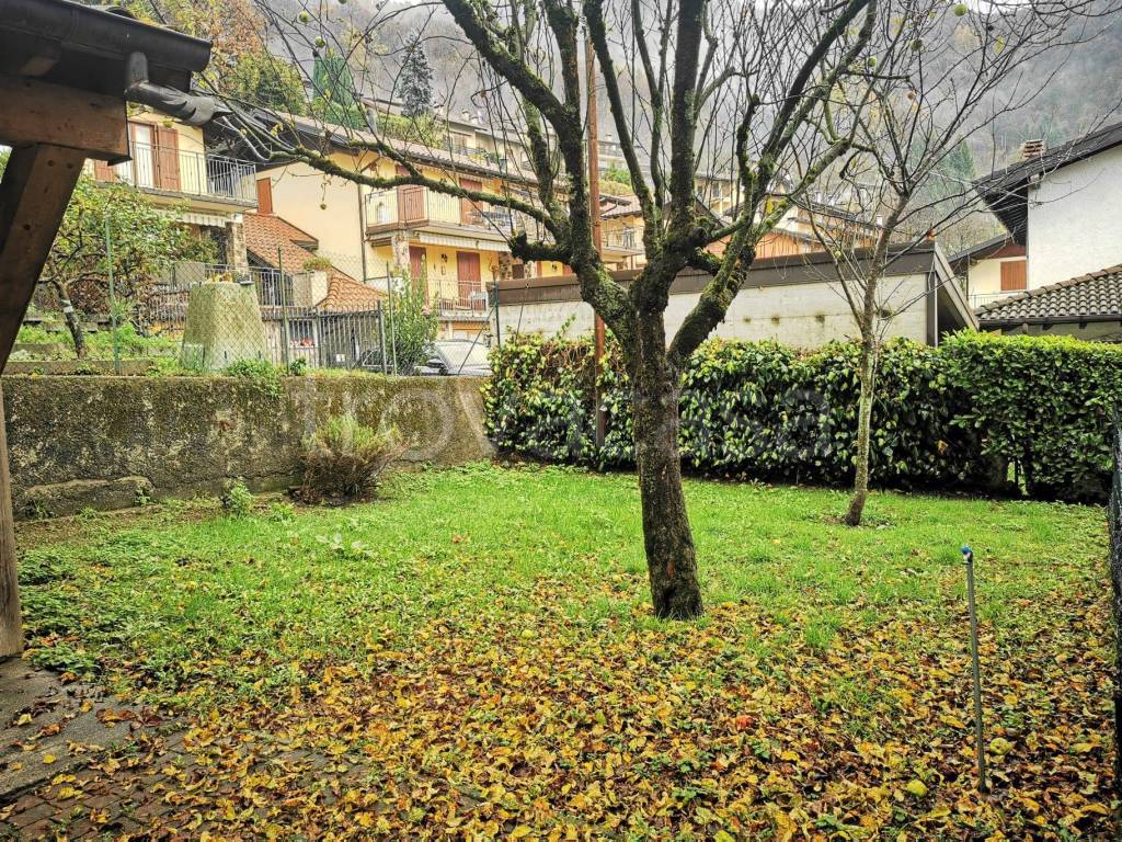 immagine annuncio 10 di 12