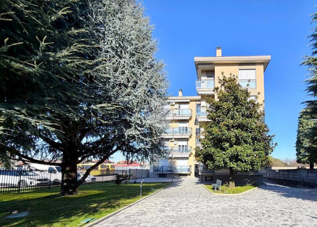 immagine annuncio 2 di 15