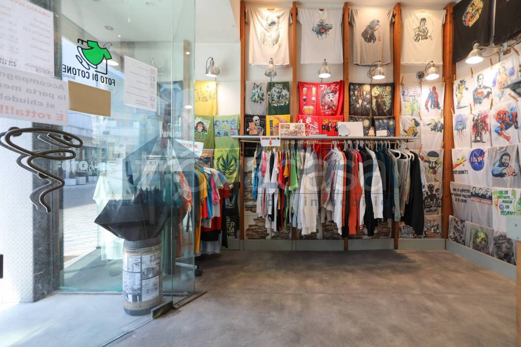 immagine annuncio 4 di 12