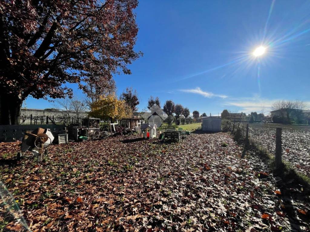 immagine annuncio 11 di 12