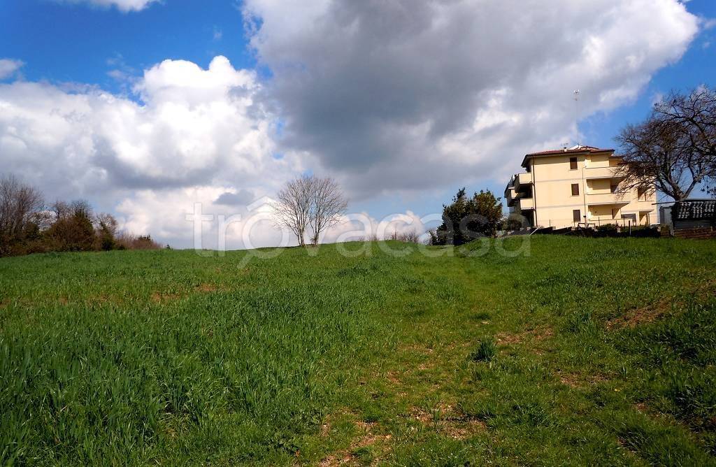 immagine annuncio 3 di 13