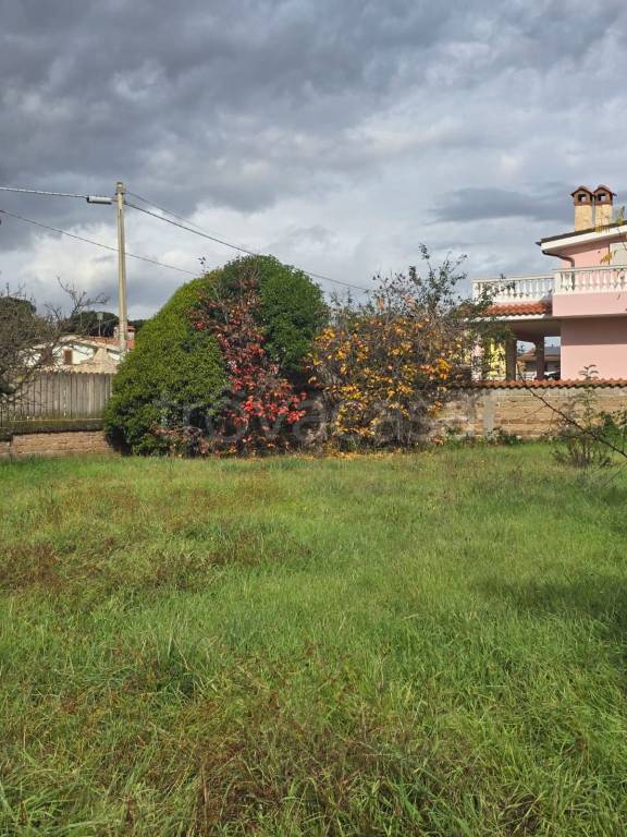 immagine annuncio 3 di 7