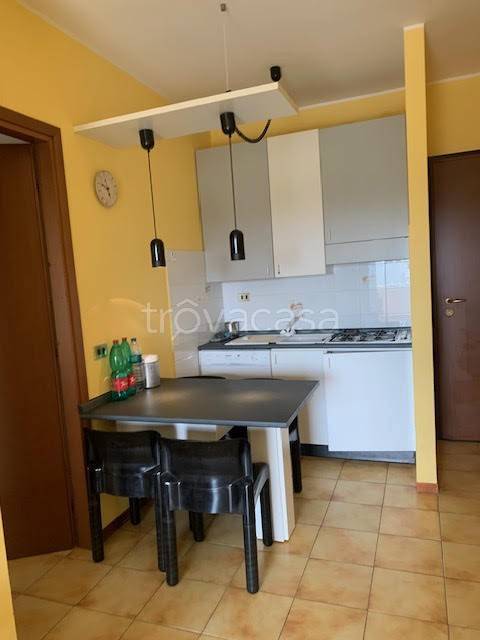 immagine annuncio 7 di 11