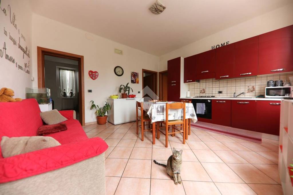 immagine annuncio 1 di 13