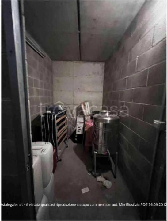 immagine annuncio 6 di 11