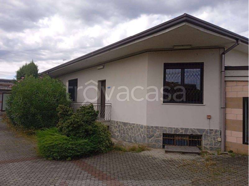 immagine annuncio 2 di 12