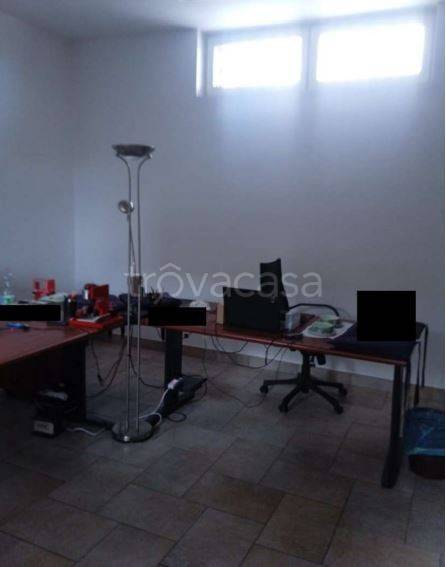 immagine annuncio 9 di 12