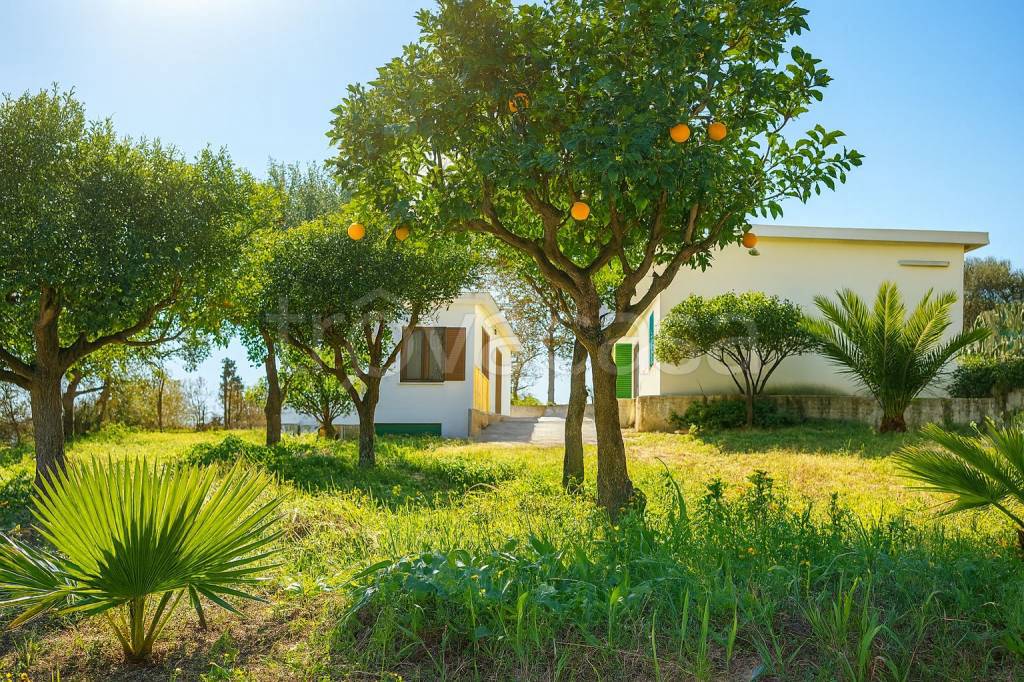 immagine annuncio 1 di 3