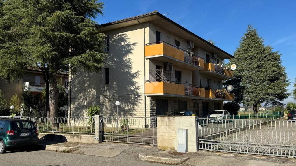 immagine annuncio 12 di 13