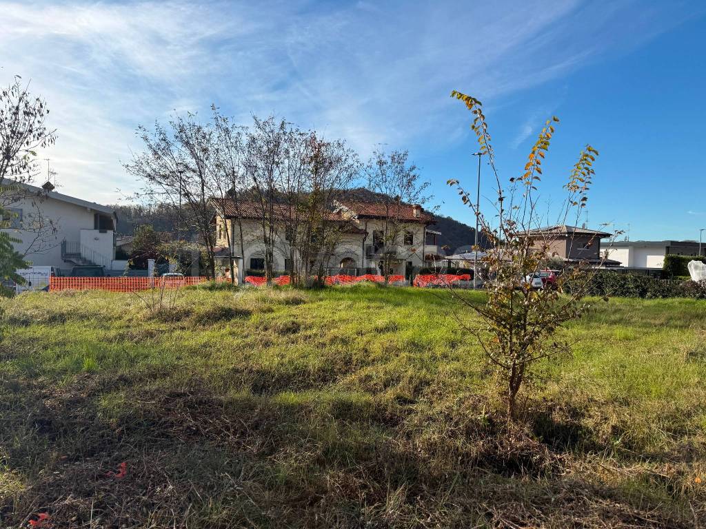 immagine annuncio 3 di 9