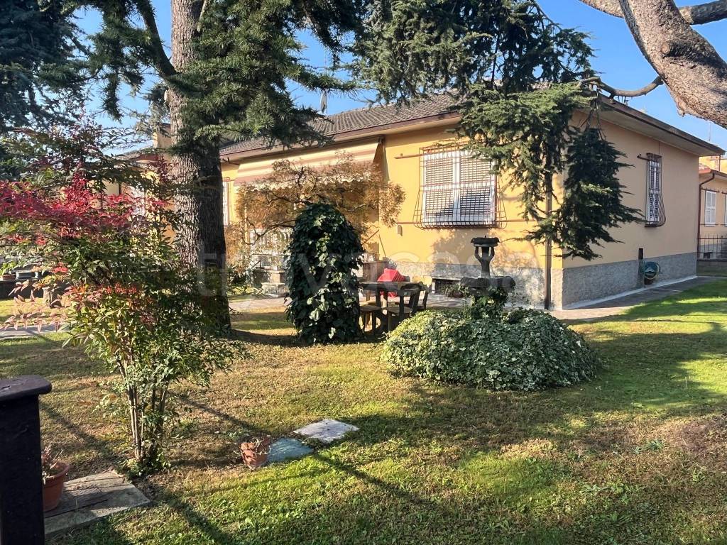 immagine annuncio 7 di 15